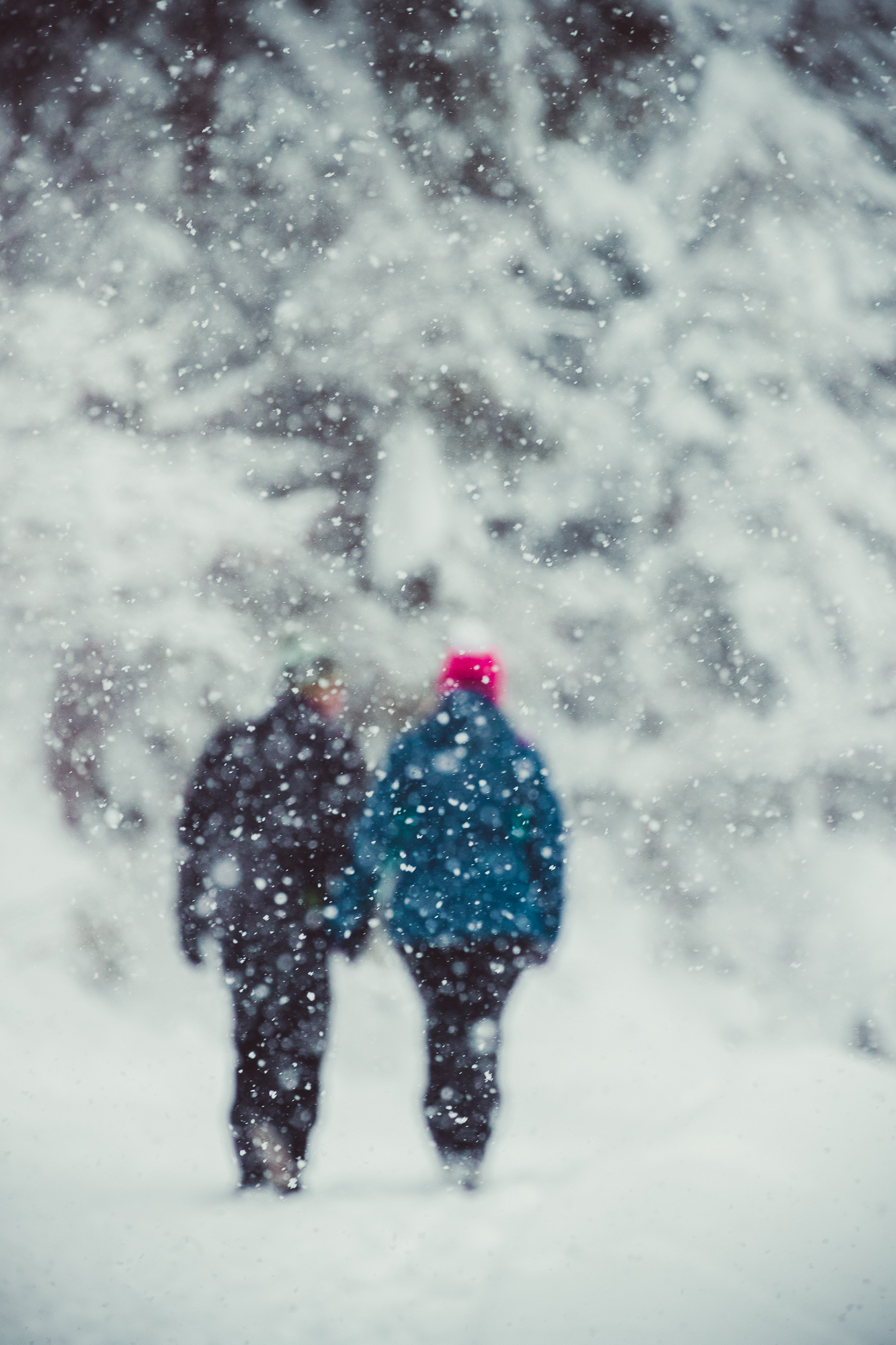 Export x3 1DX29386 Verlobungsfotoshooting 2018 Anna & Dominik 2